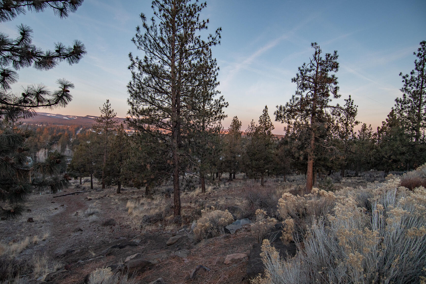 Skyliner Summit - Land