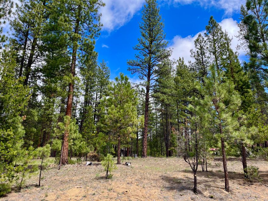 Majestic old growth pines surround this nicely groomed, buildable lot just across the street from the rushing whitewater of Pringle Falls! This gradually elevated .41 acre parcel offers privacy and prominence in the desirable CCR-protected riverfront community of Wild River, surrounded by National Forest and ever so close to Central OR's high lakes and renowned skiing at Mt. Bachelor's inviting slopes.  HOA owners enjoy paved roads lined by beautiful homes, scenic nature trails, and exclusive access to some of the most compelling stretches of the Big Deschutes River.  One of only a few remaining undeveloped parcels in this pristine forested Wild River community, this is a special opportunity for new custom home beginnings near the breathtaking river and beneath starry night skies!