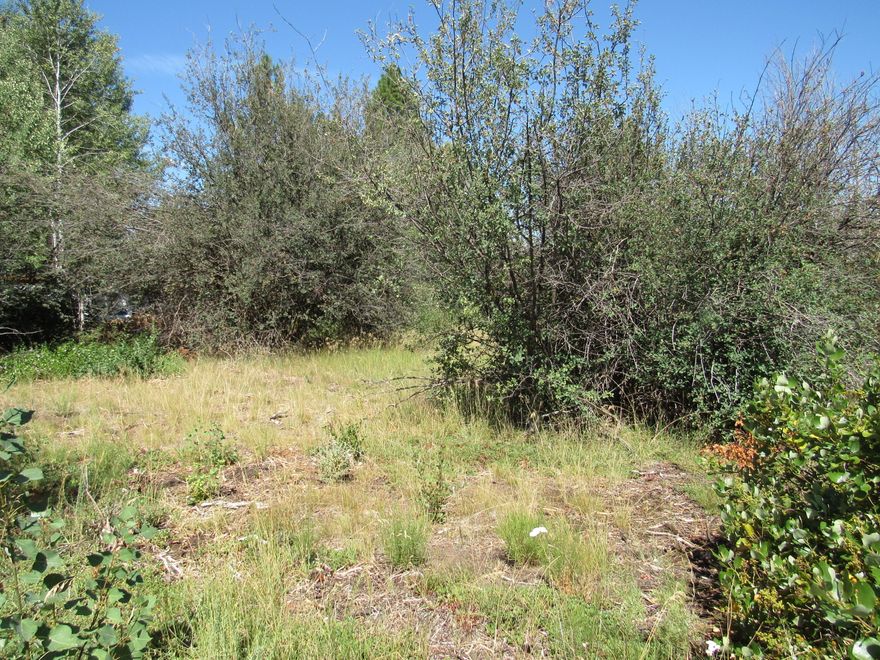 This parcel is a buildable lot with some shade trees. In this community you have to put in a septic system, but you can sign up for water with the community well. There is lakefront in the common area for docking a boat or having a picnic.  Close to hunting, kayaking, fishing- lots of outdoor activities and miles from Crater Lake.