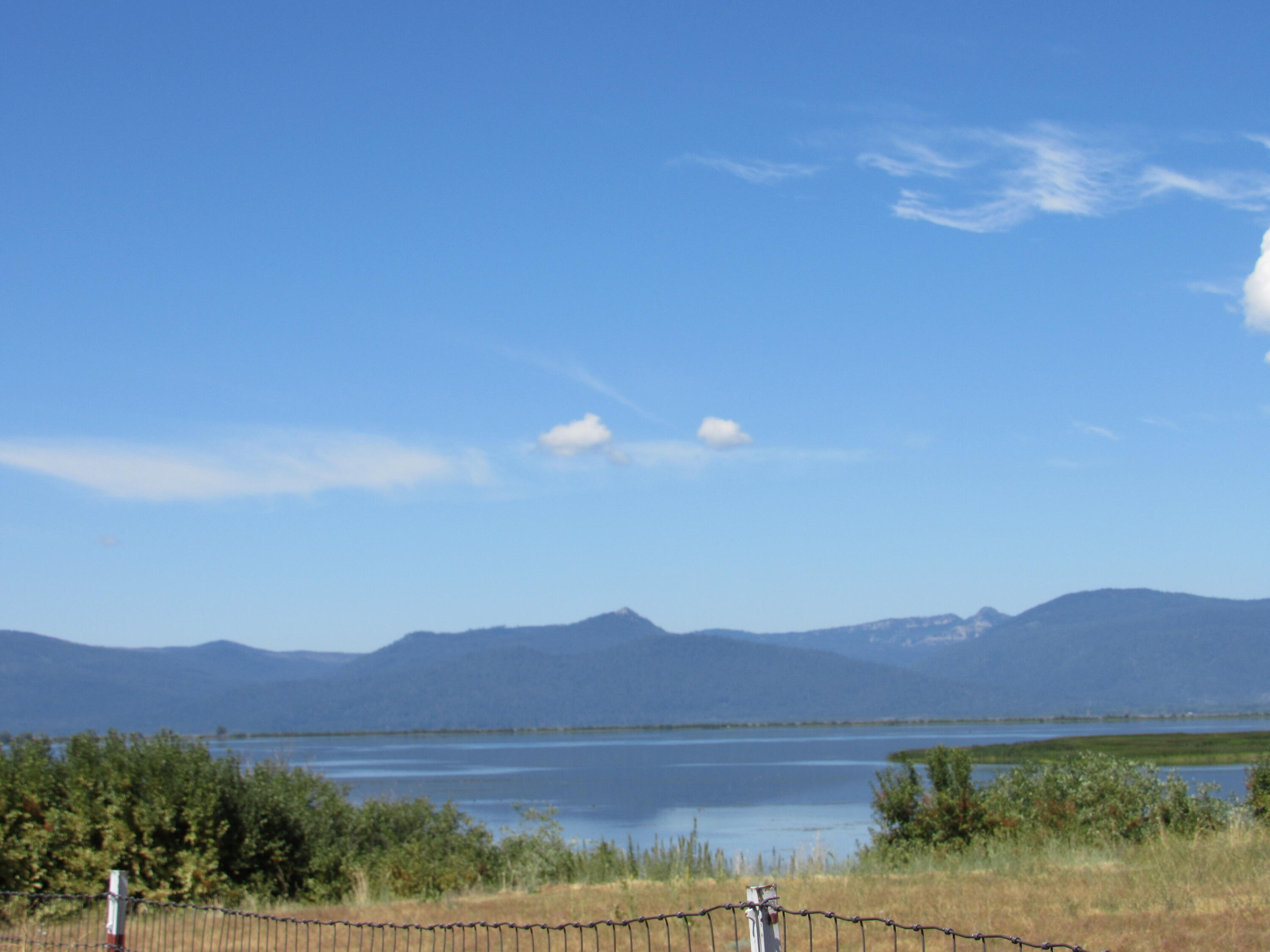 Oregon Shores - Land