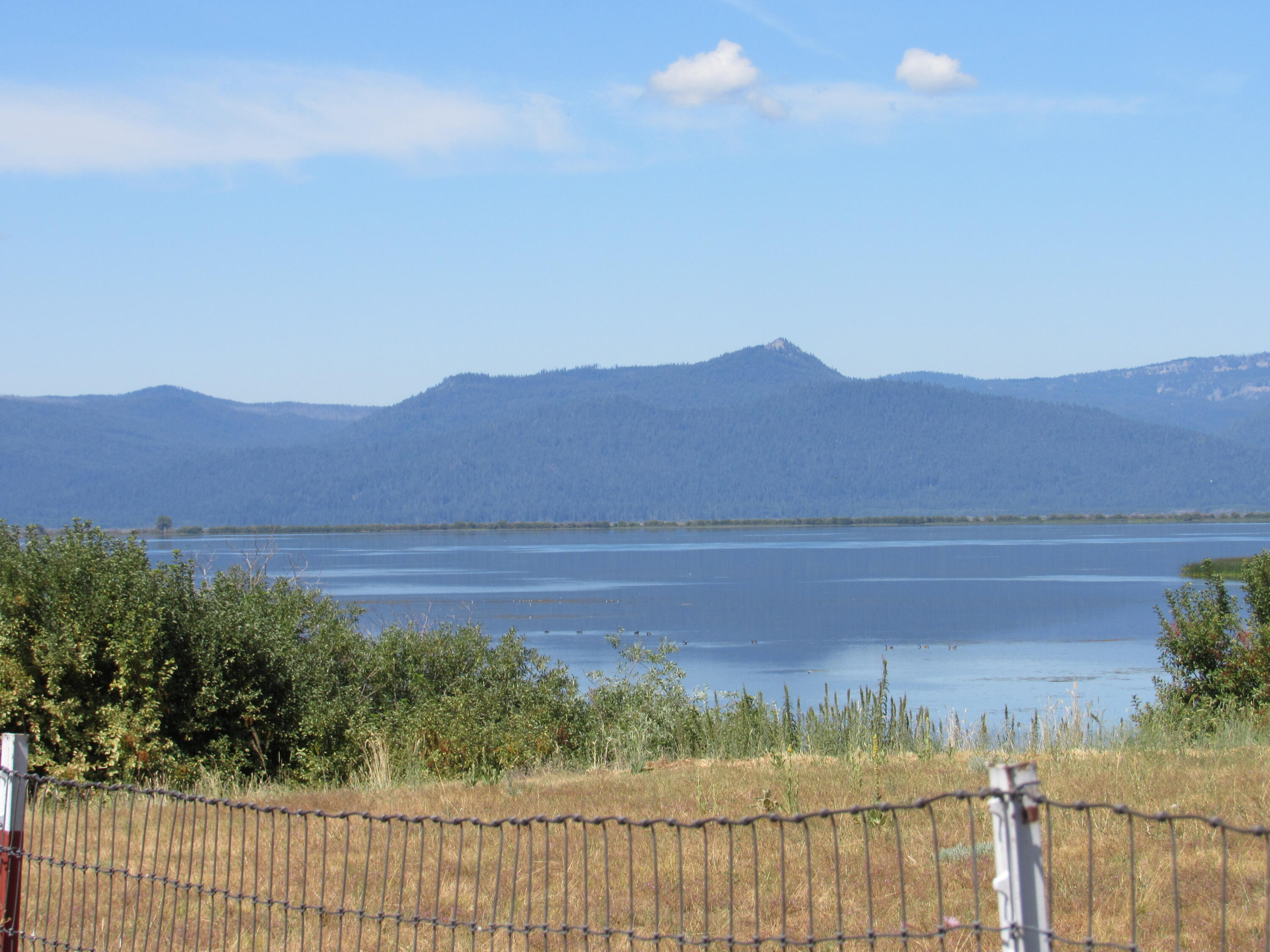 Oregon Shores - Land