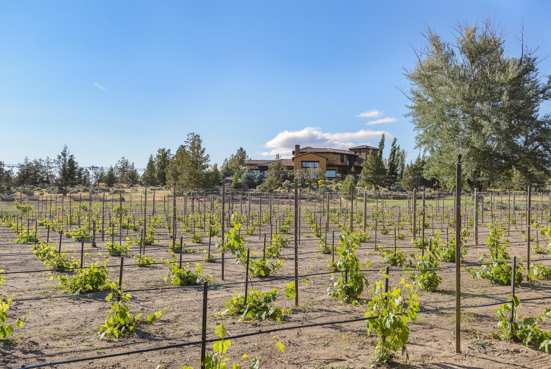 Ranch at the Canyons - Residential