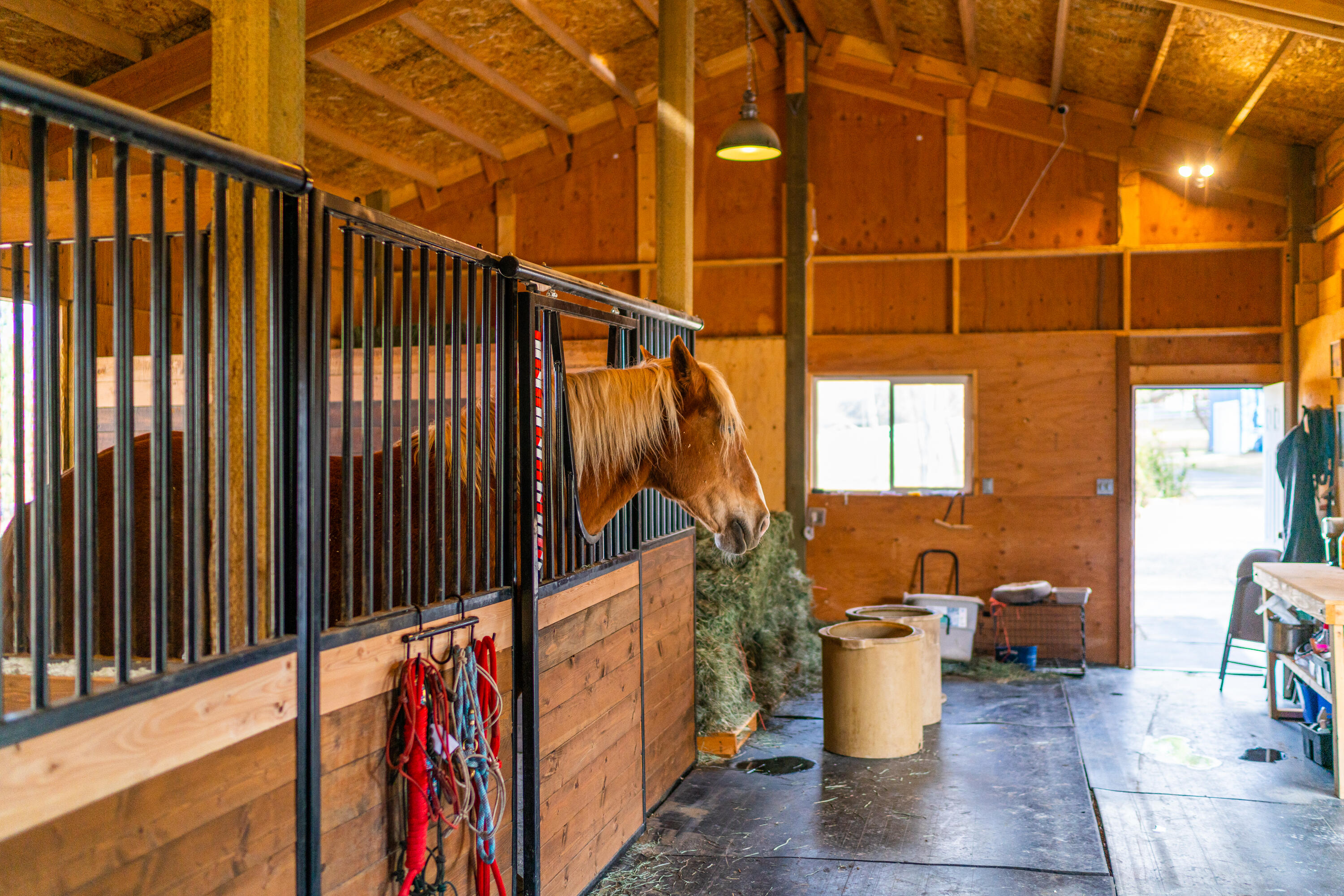 Woodside Ranch - Residential