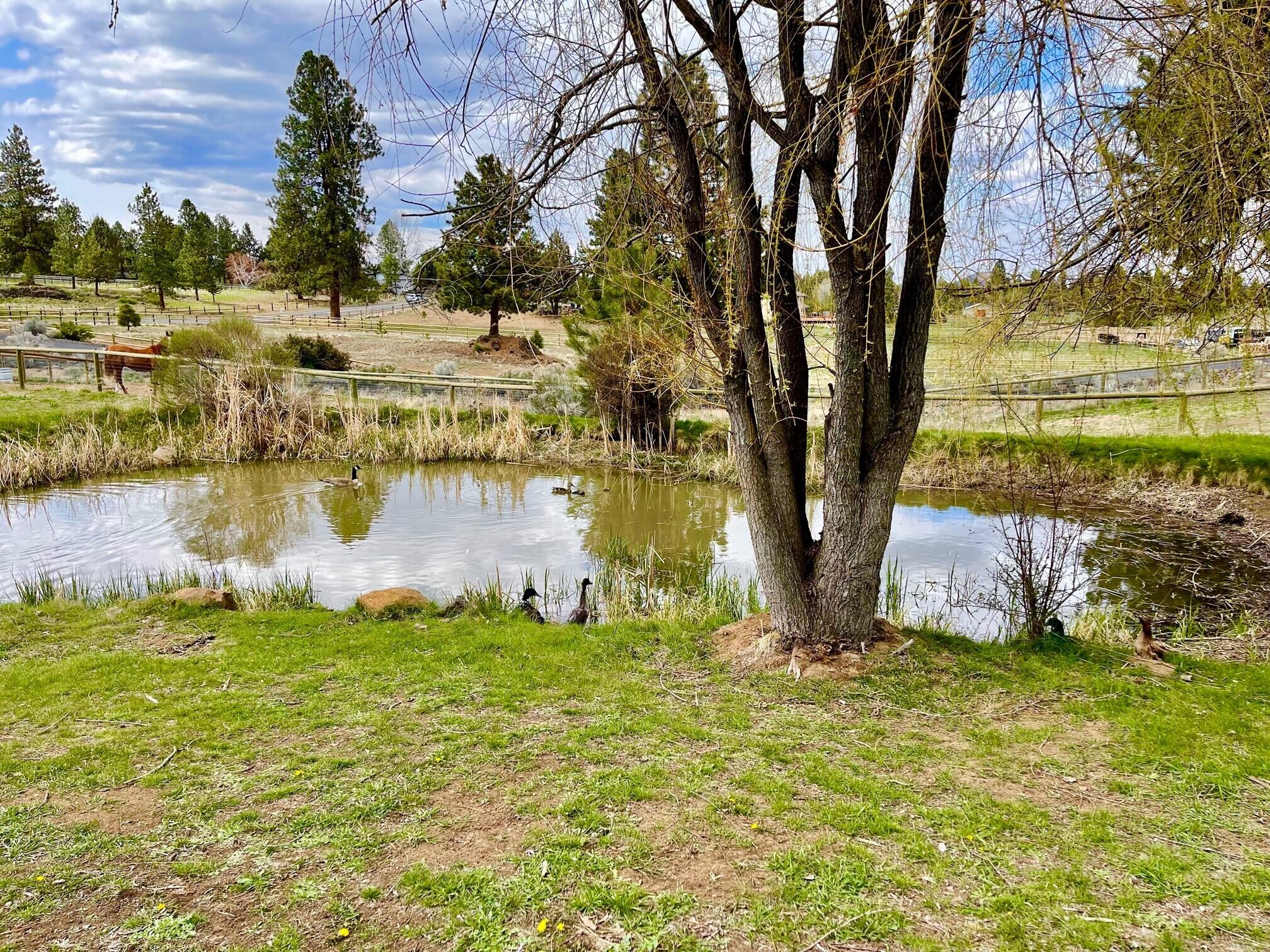 Woodside Ranch - Residential