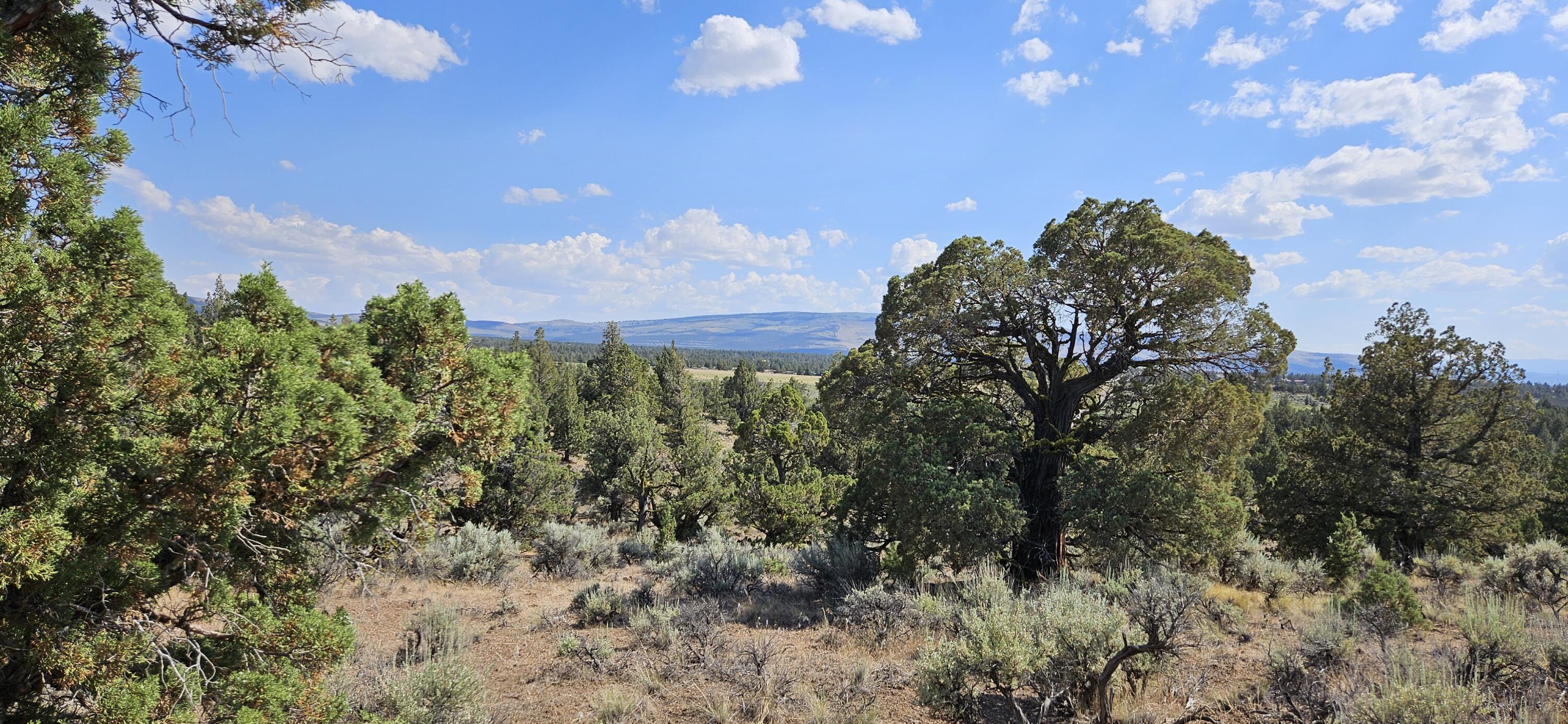 Juniper Acres - Land