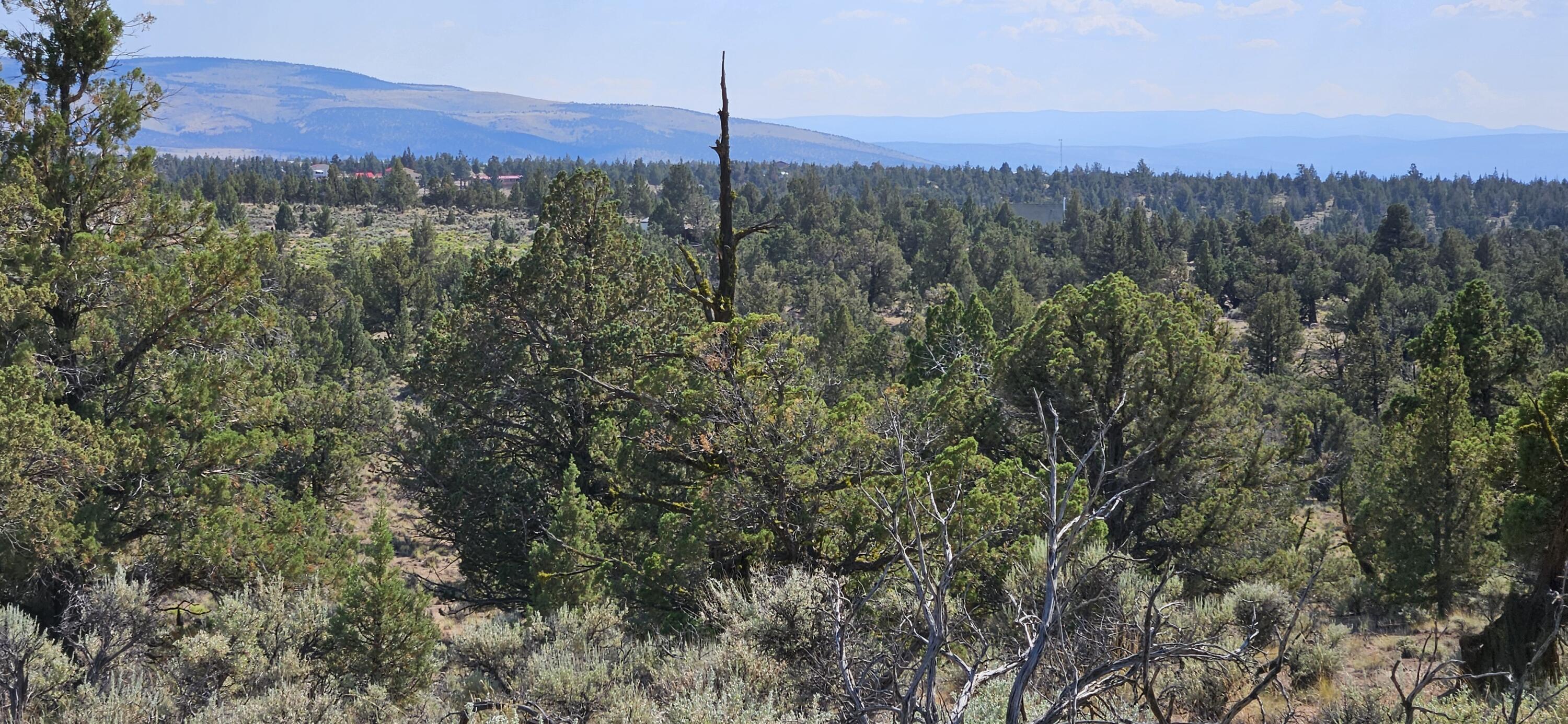 Juniper Acres - Land