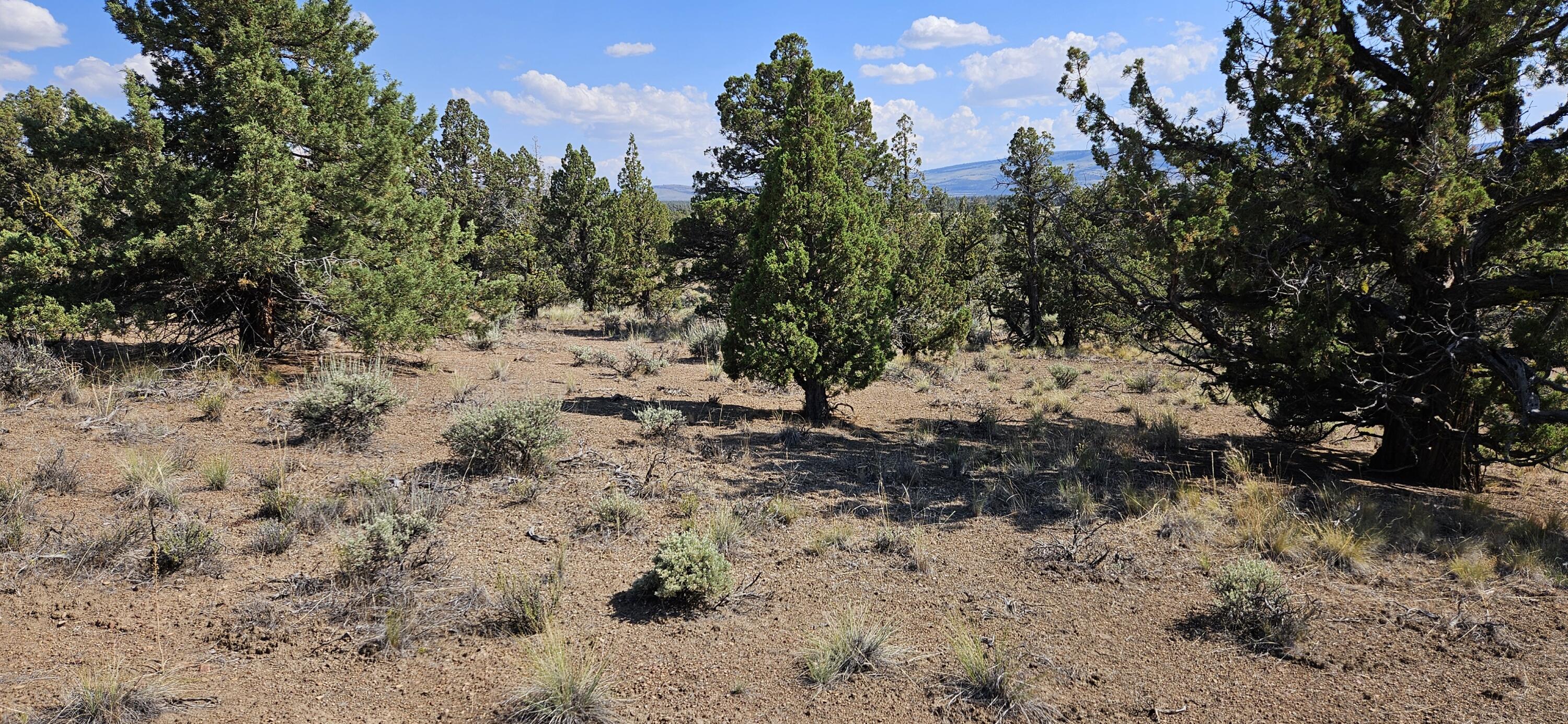 Juniper Acres - Land