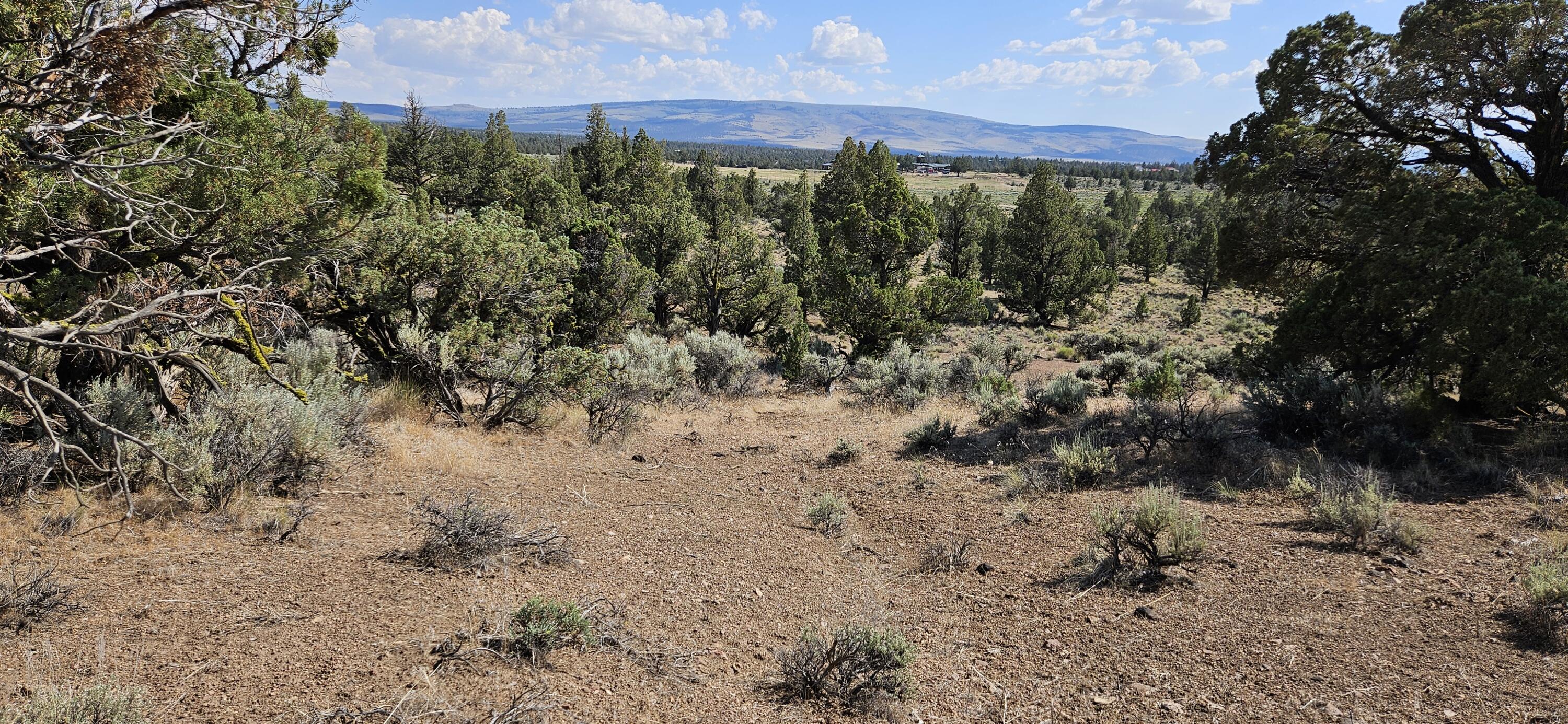 Juniper Acres - Land