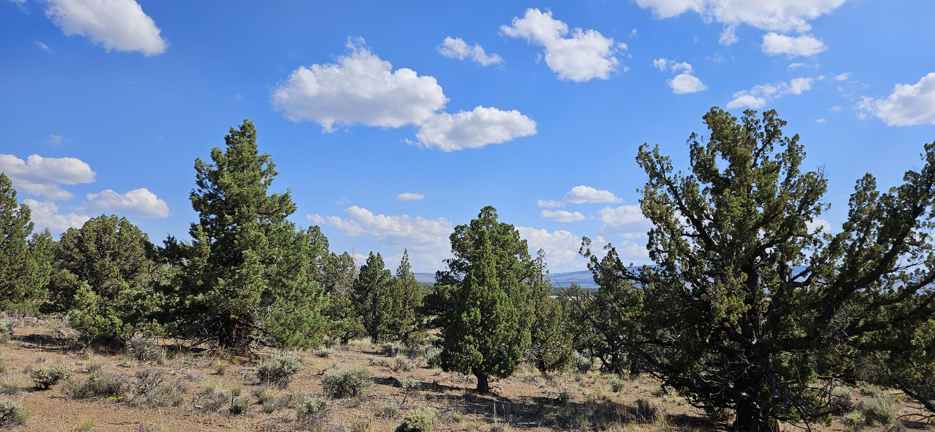 Juniper Acres - Land