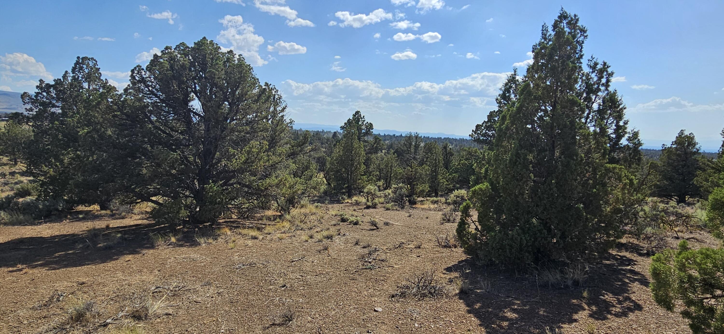 Juniper Acres - Land