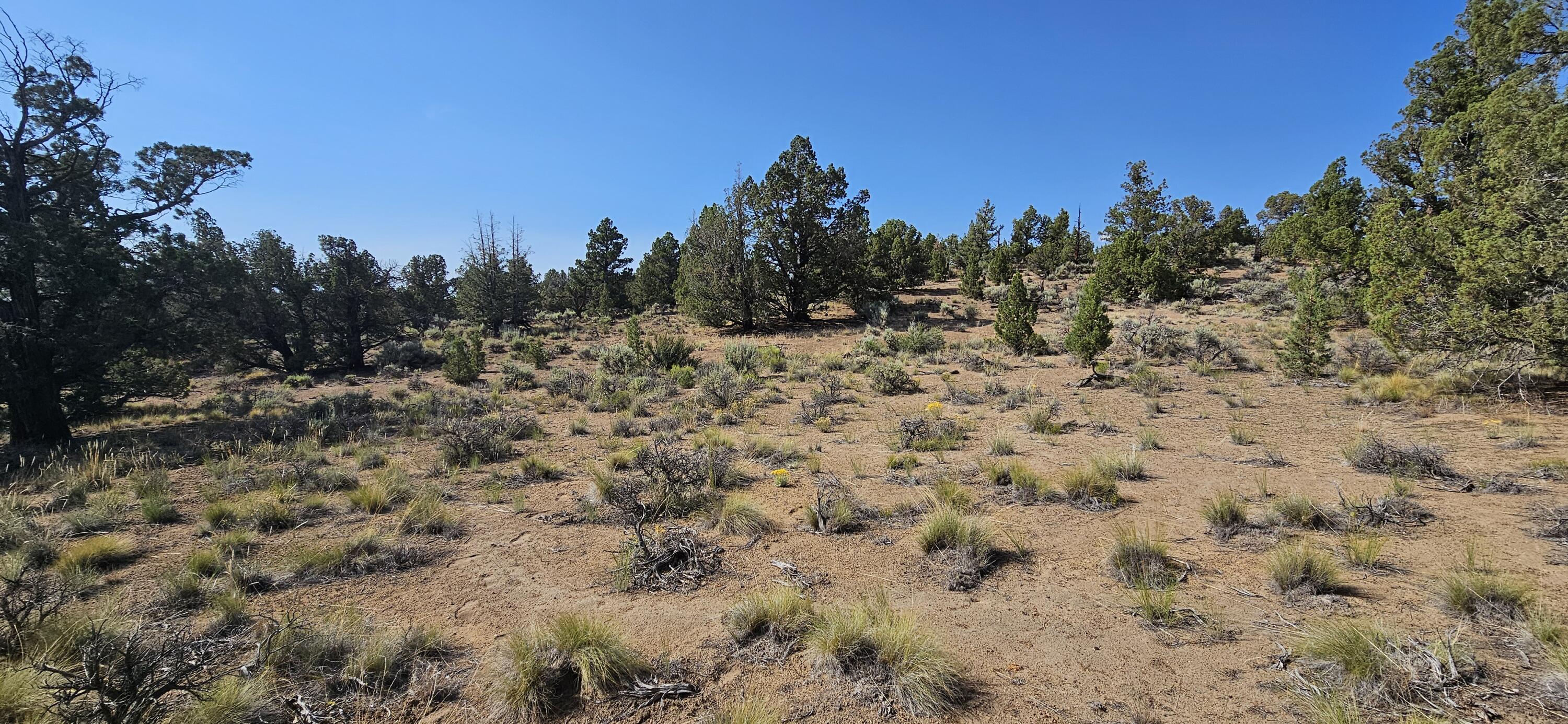 Juniper Acres - Land