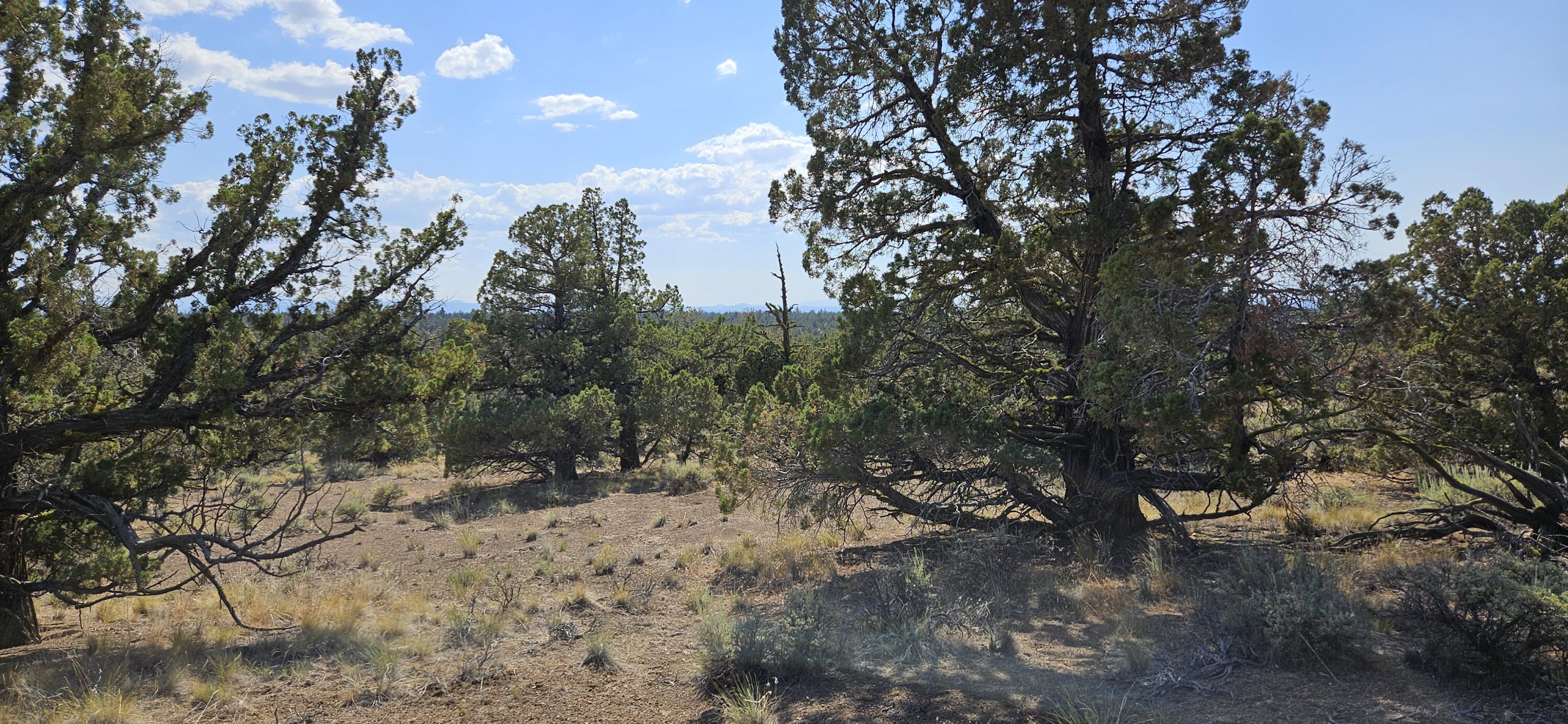 Juniper Acres - Land