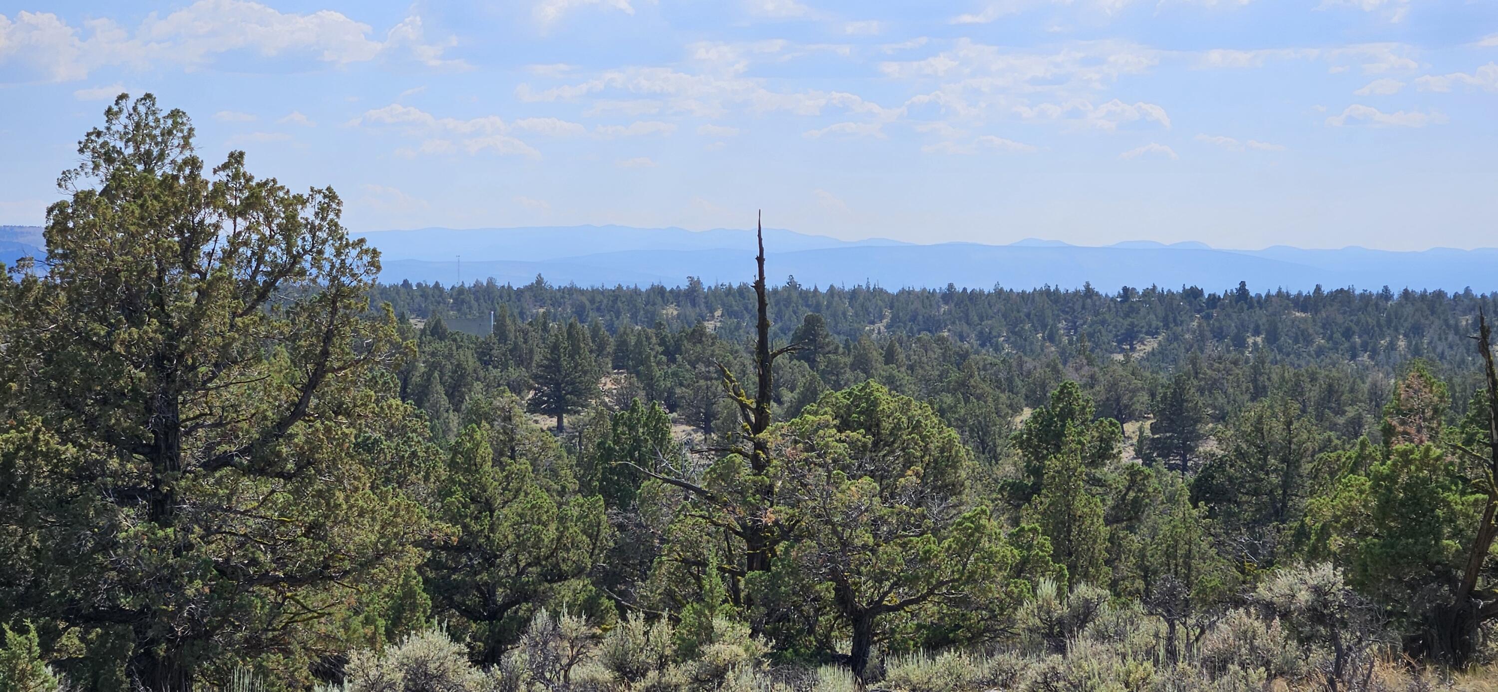 Juniper Acres - Land