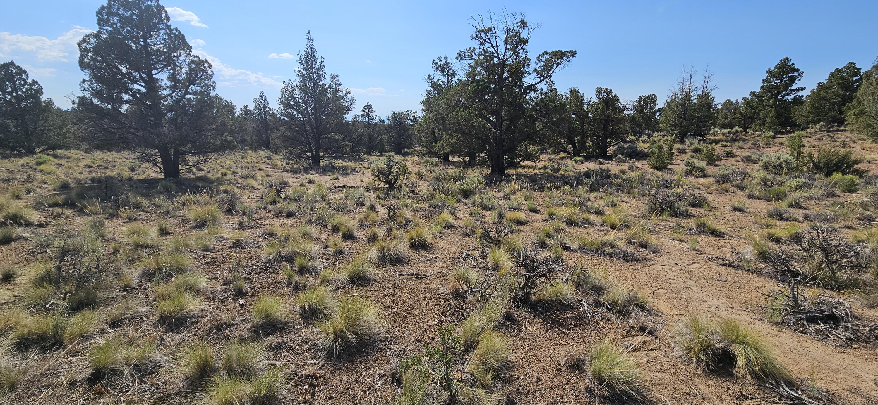 Juniper Acres - Land