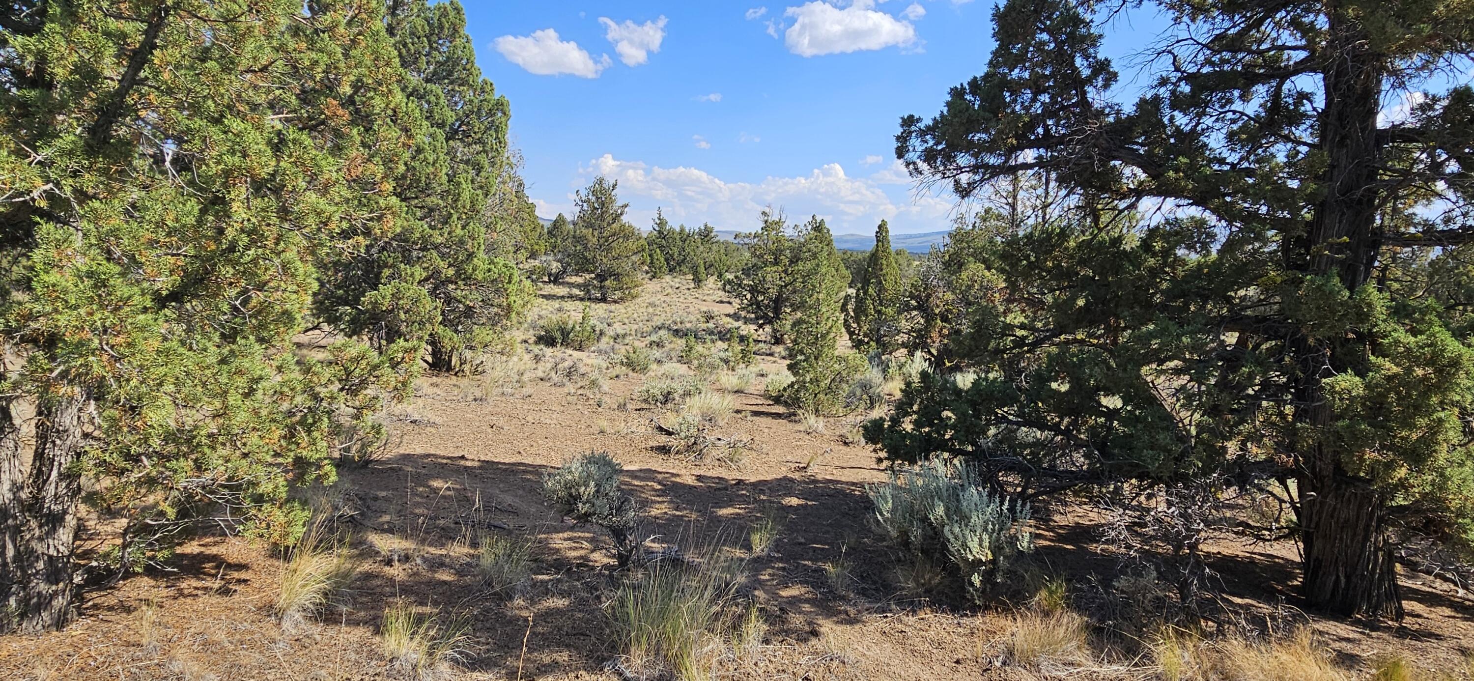 Juniper Acres - Land