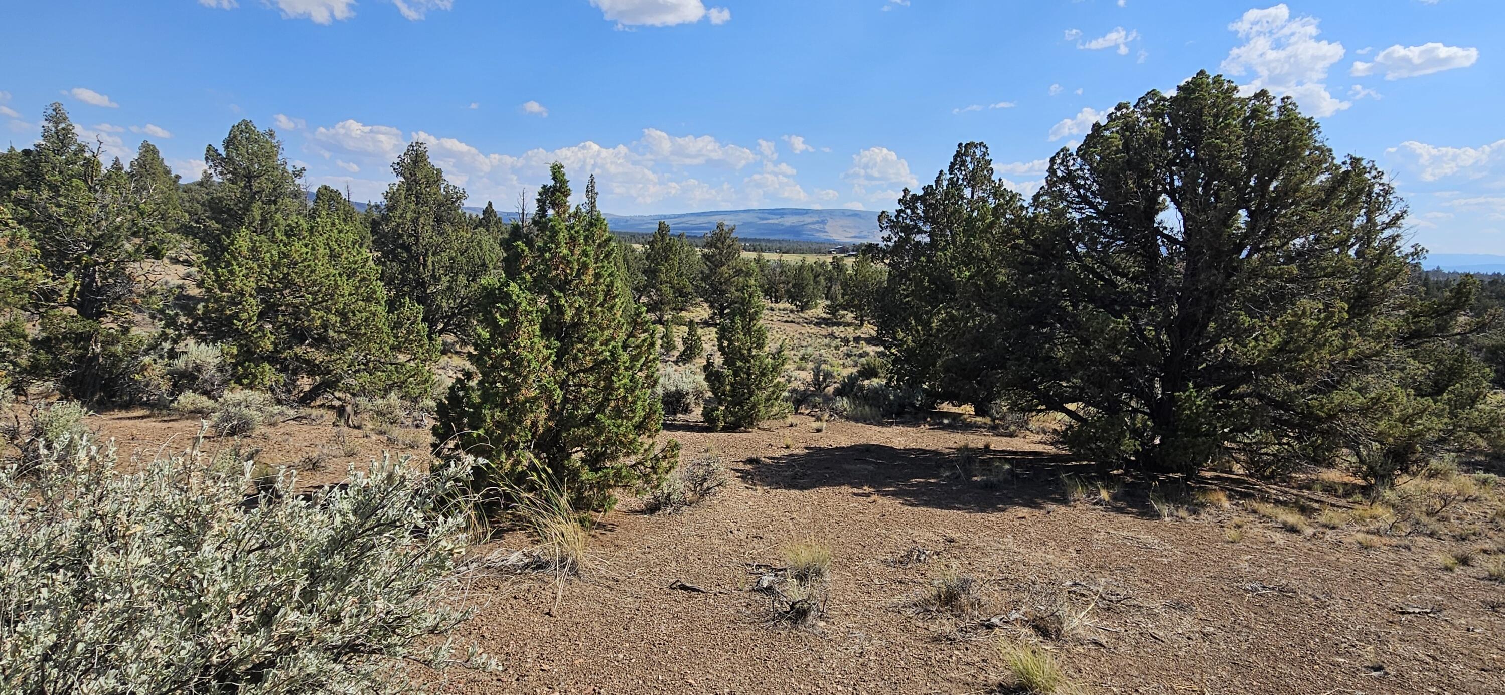 Juniper Acres - Land