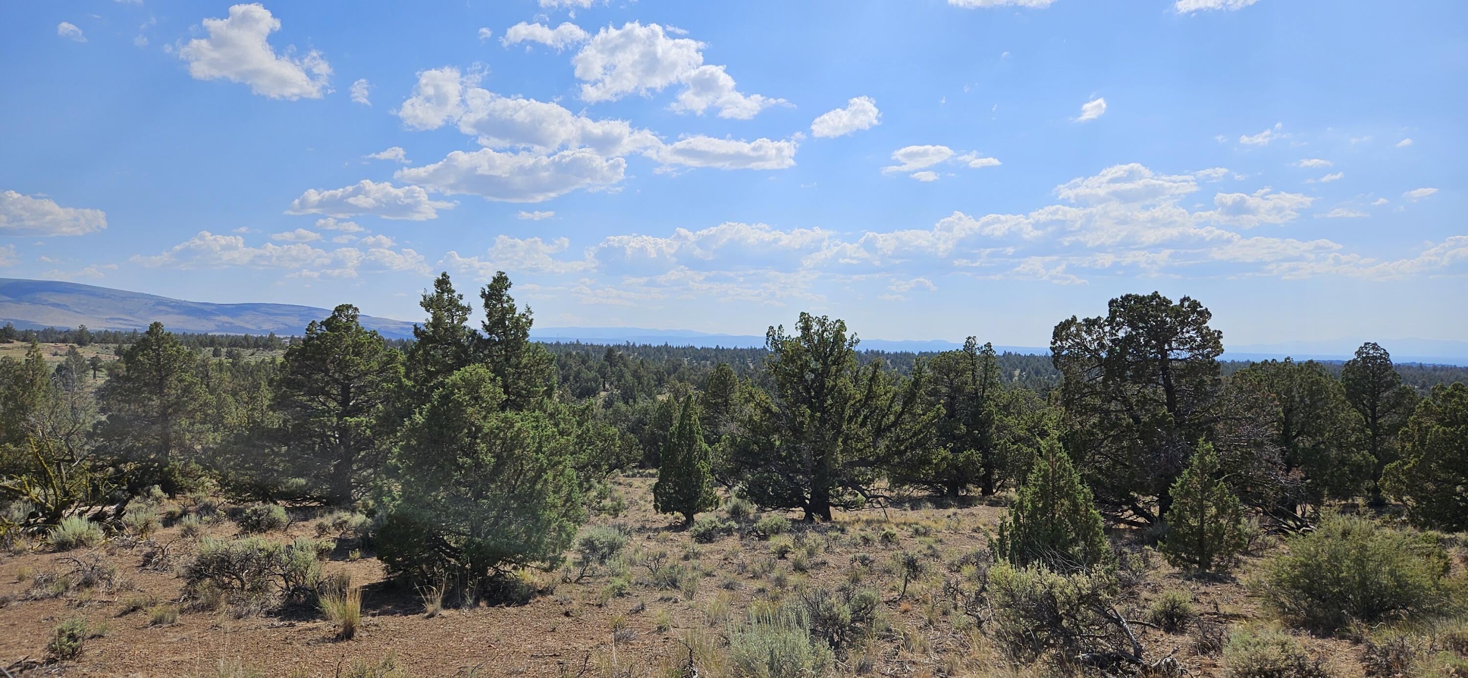 Juniper Acres - Land