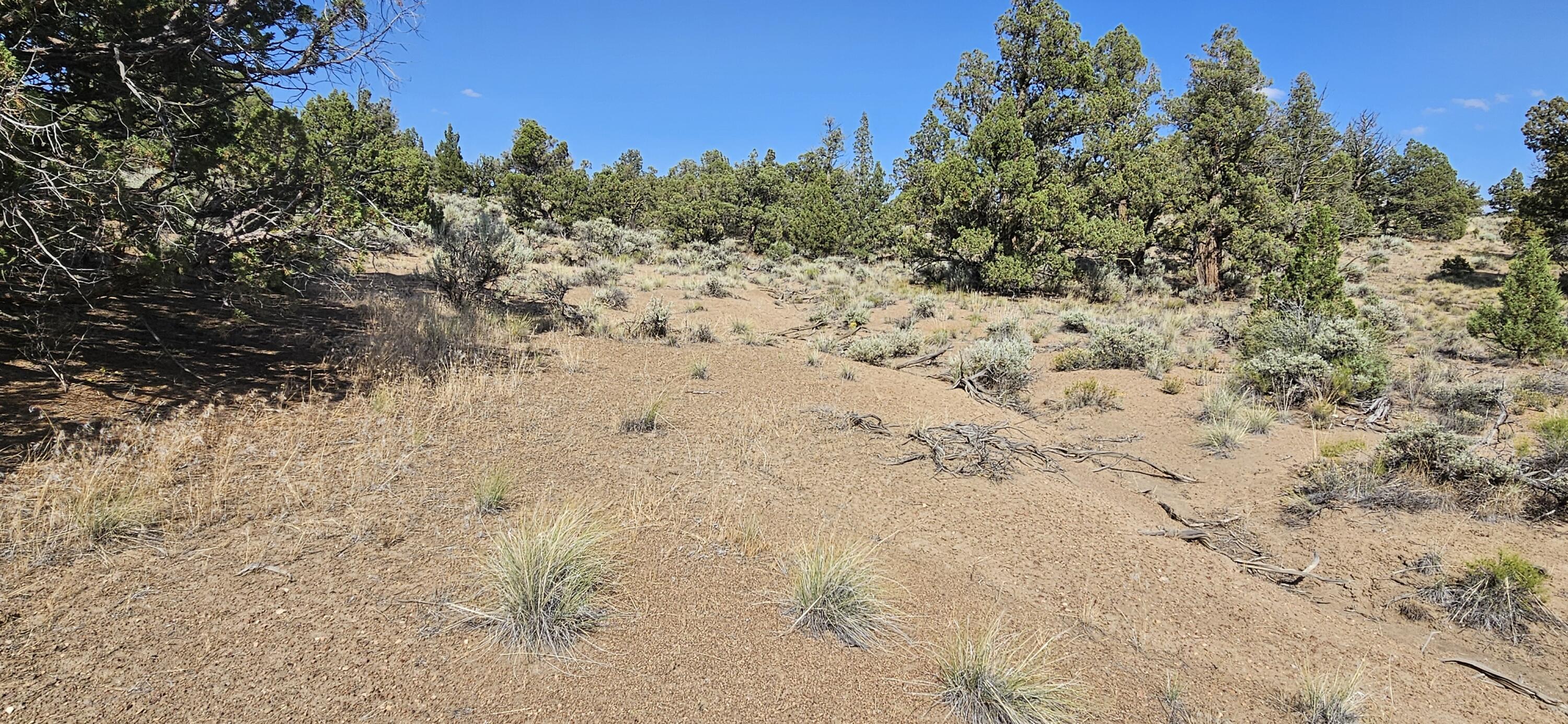 Juniper Acres - Land