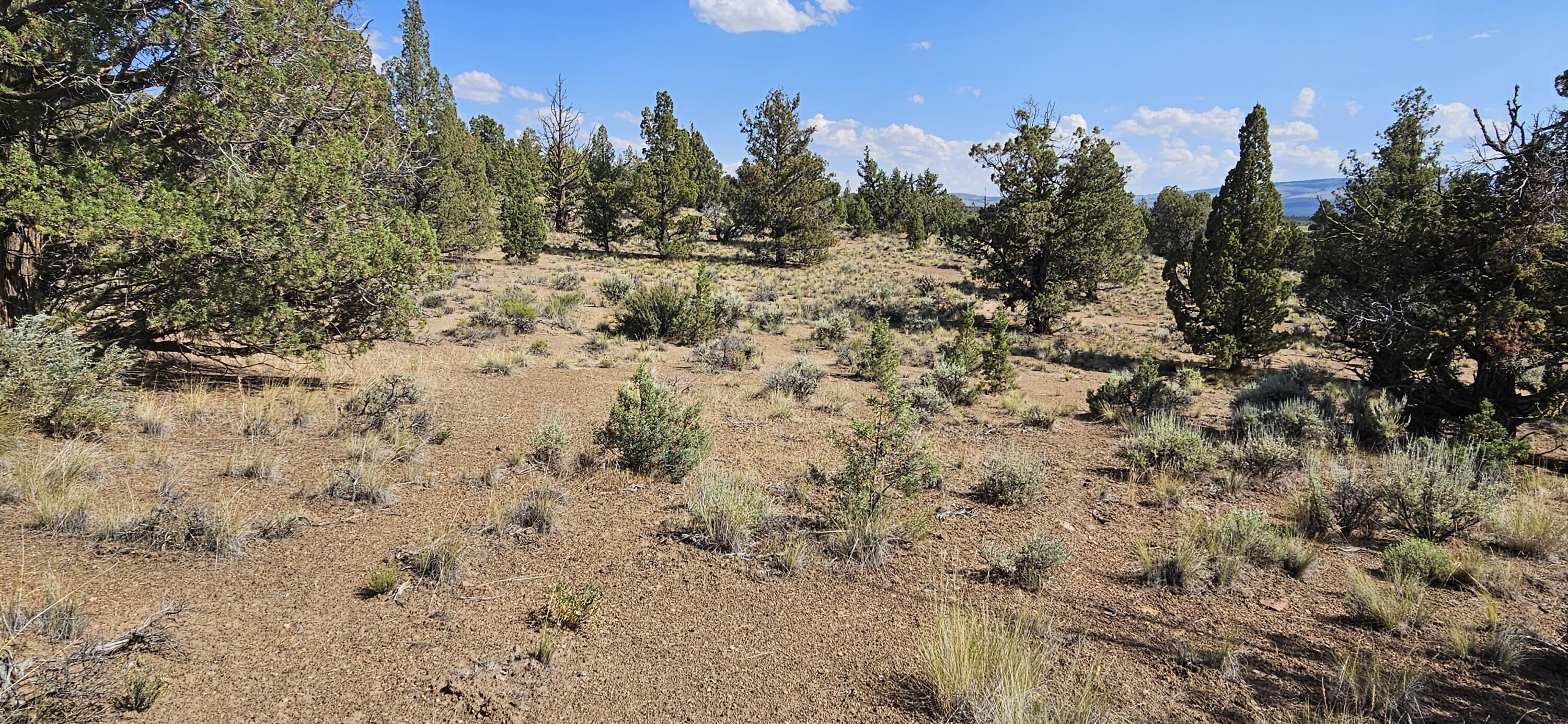 Juniper Acres - Land