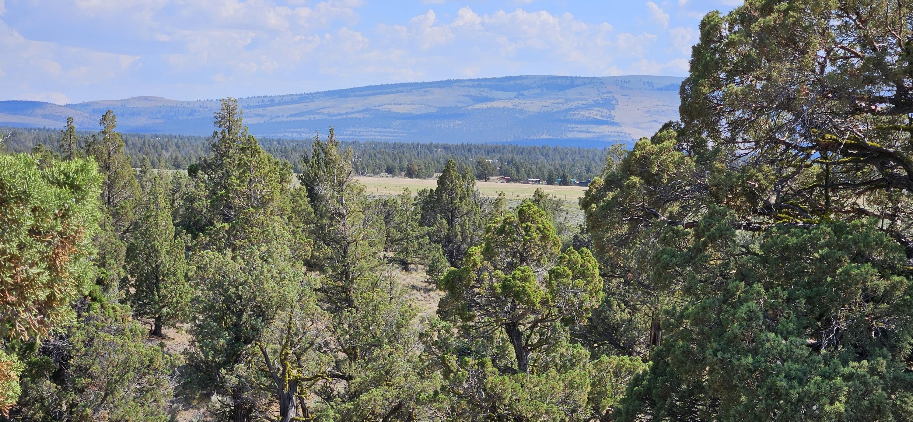 Juniper Acres - Land