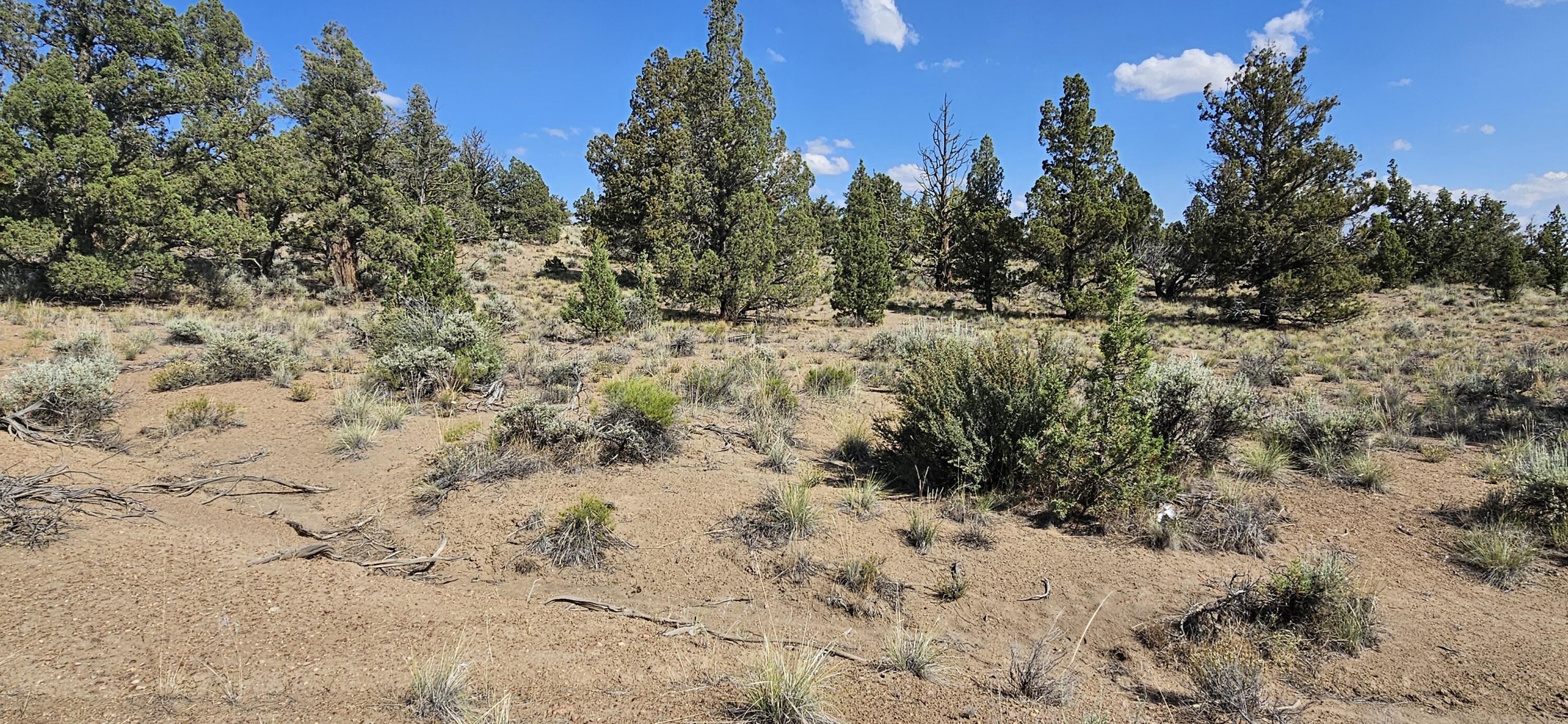 Juniper Acres - Land