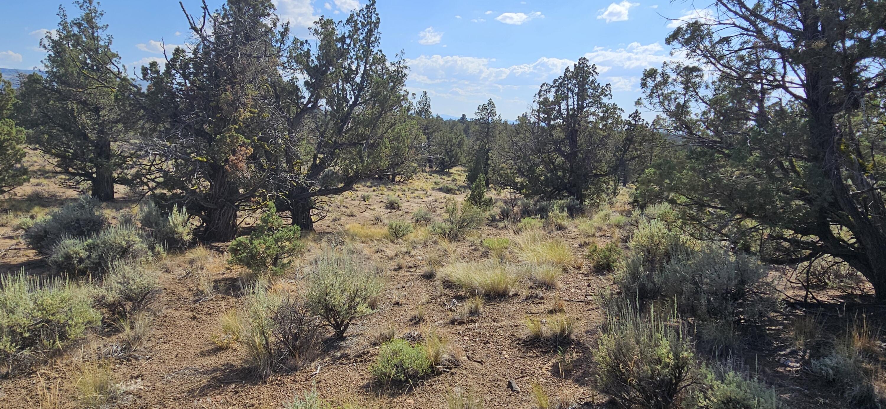 Juniper Acres - Land