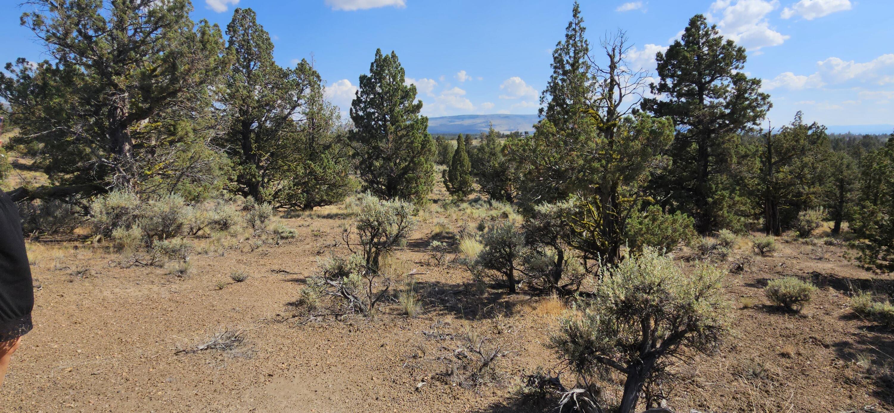 Juniper Acres - Land