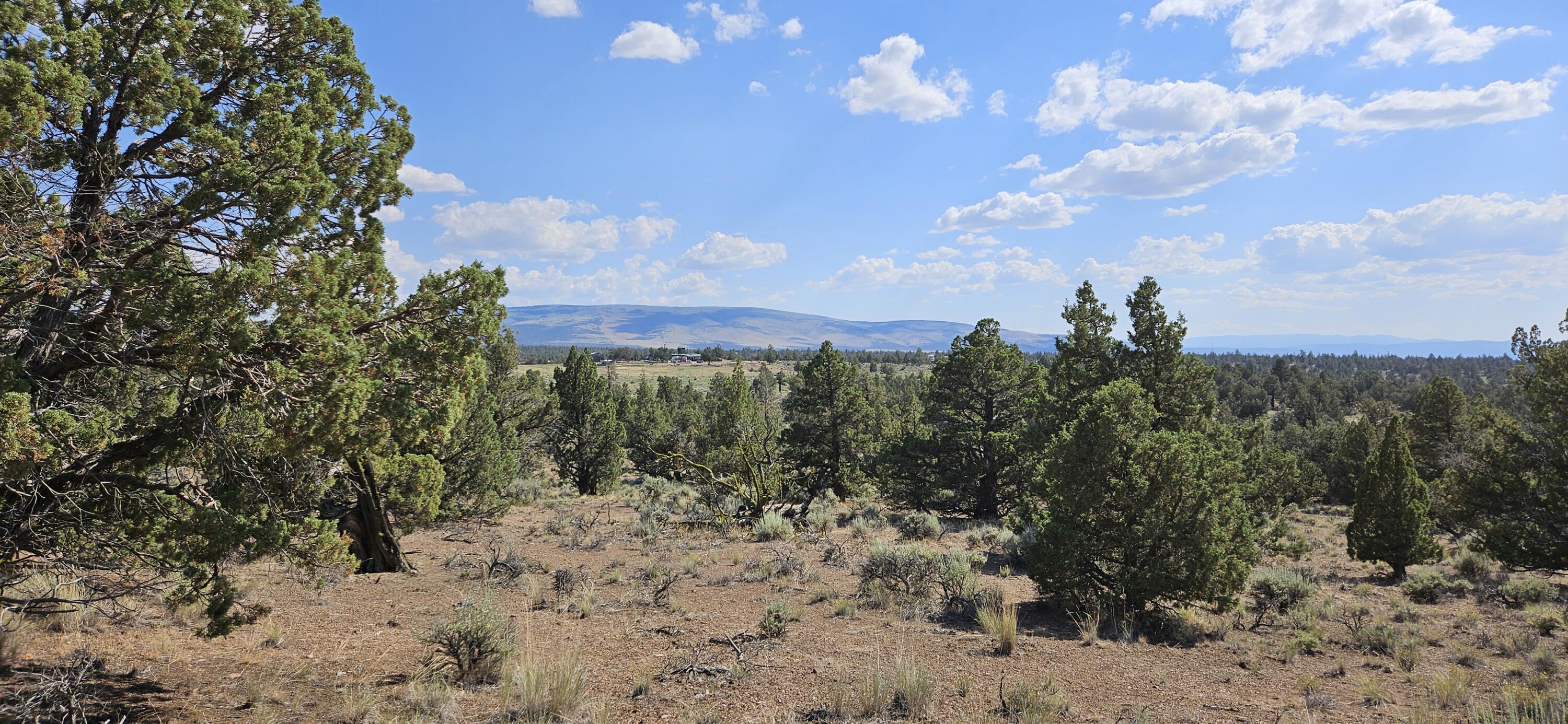 Juniper Acres - Land