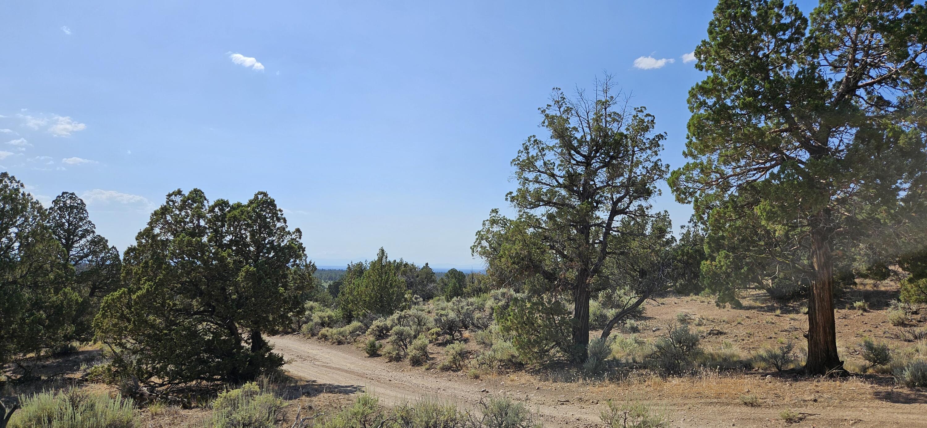 Juniper Acres - Land