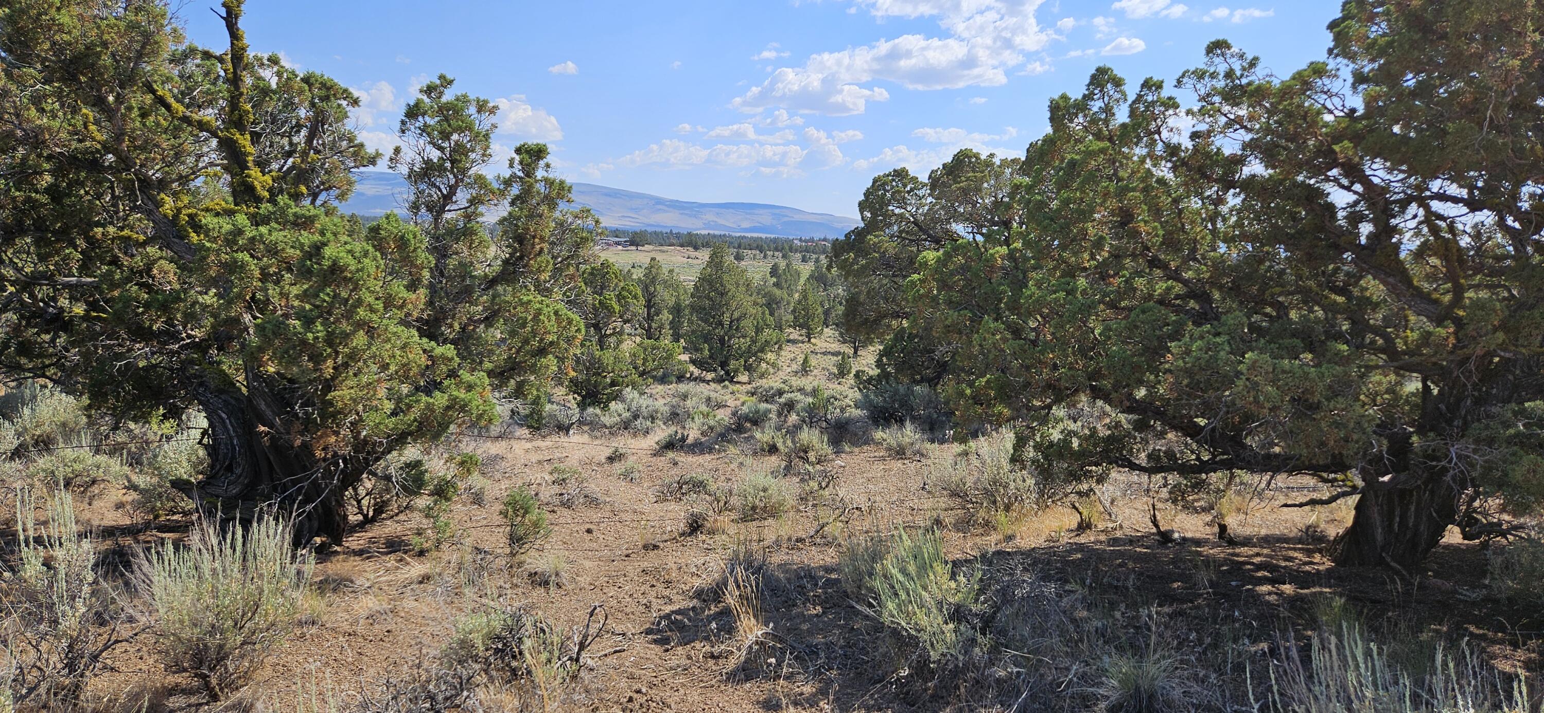 Juniper Acres - Land