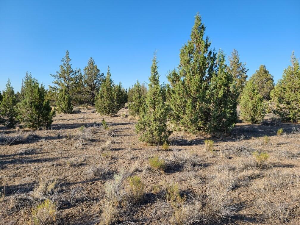 Juniper Acres - Land