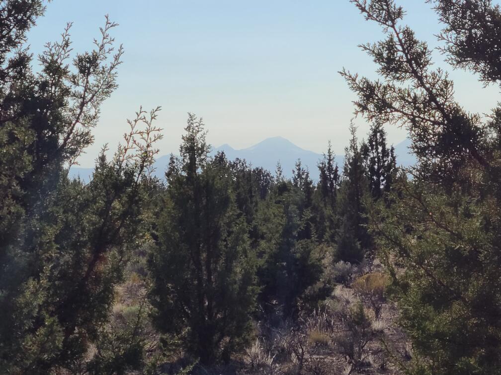 Juniper Acres - Land