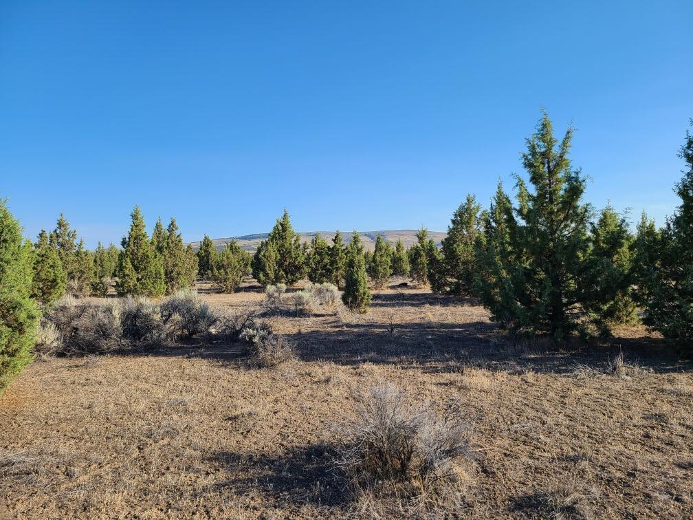 Juniper Acres - Land