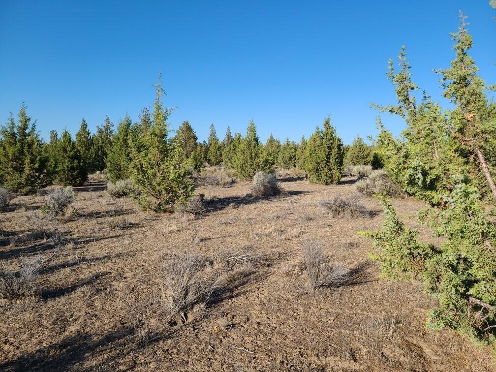 Juniper Acres - Land