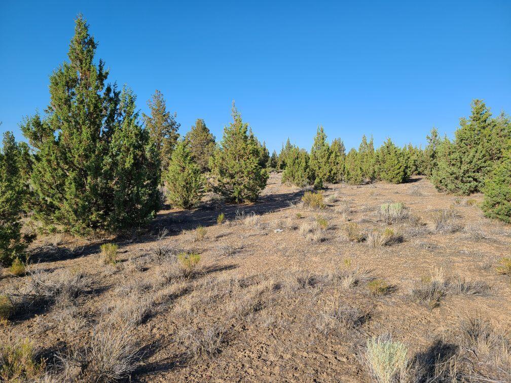 Juniper Acres - Land