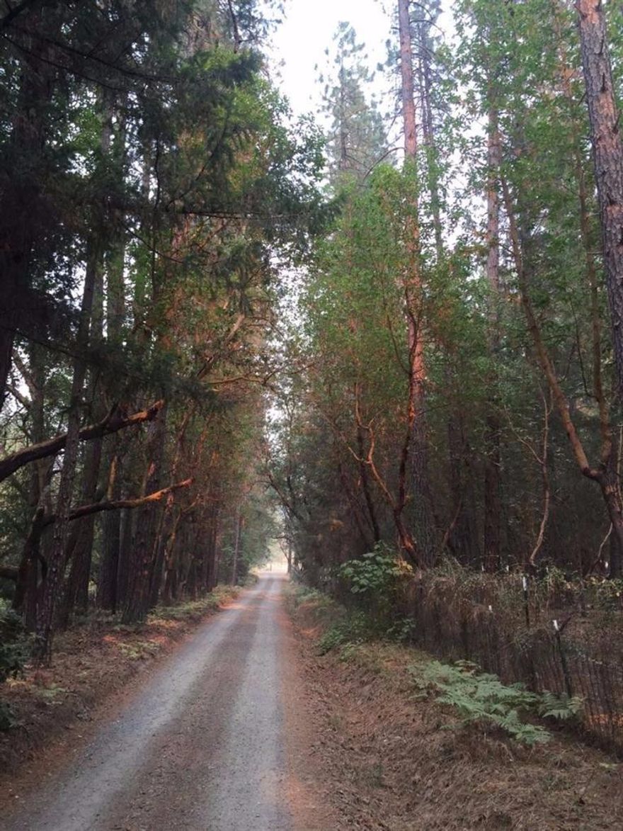 Imagine waking to your morning coffee w/an amazing sunrise on 1 of 3 private decks Spend the day gardening or exploring many of the hiking/riding trails, end the evening sipping a cool beverage taking in the wildlife or enjoy a relaxing soak in your over-sized garden tub This peaceful & private retreat is perfectly nestled among the trees on 80+ acres backed by BLM Spacious split floor plan, pantry, over-sized laundry room, attached 3-car garage, carport & a detached 648 sq ft shop. The property is cross-fenced, room for your horses, bird aviary, chicken coop. Plenty of room for the garden, all the toys, or build an arena. The possibilities are endless. The well is 10-12 gpm, septic pumped 3/2016, full home inspection on file. This immaculate property is conveniently located in between Ashland & Grants Pass and only 10 minutes to I-5. Shown by appointment only