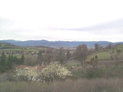 Bush Gardens Subdivision - Land