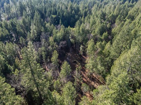 Tiny photo for 7001 Rockydale Road, Cave Junction, OR 97523 (MLS # 220212384)