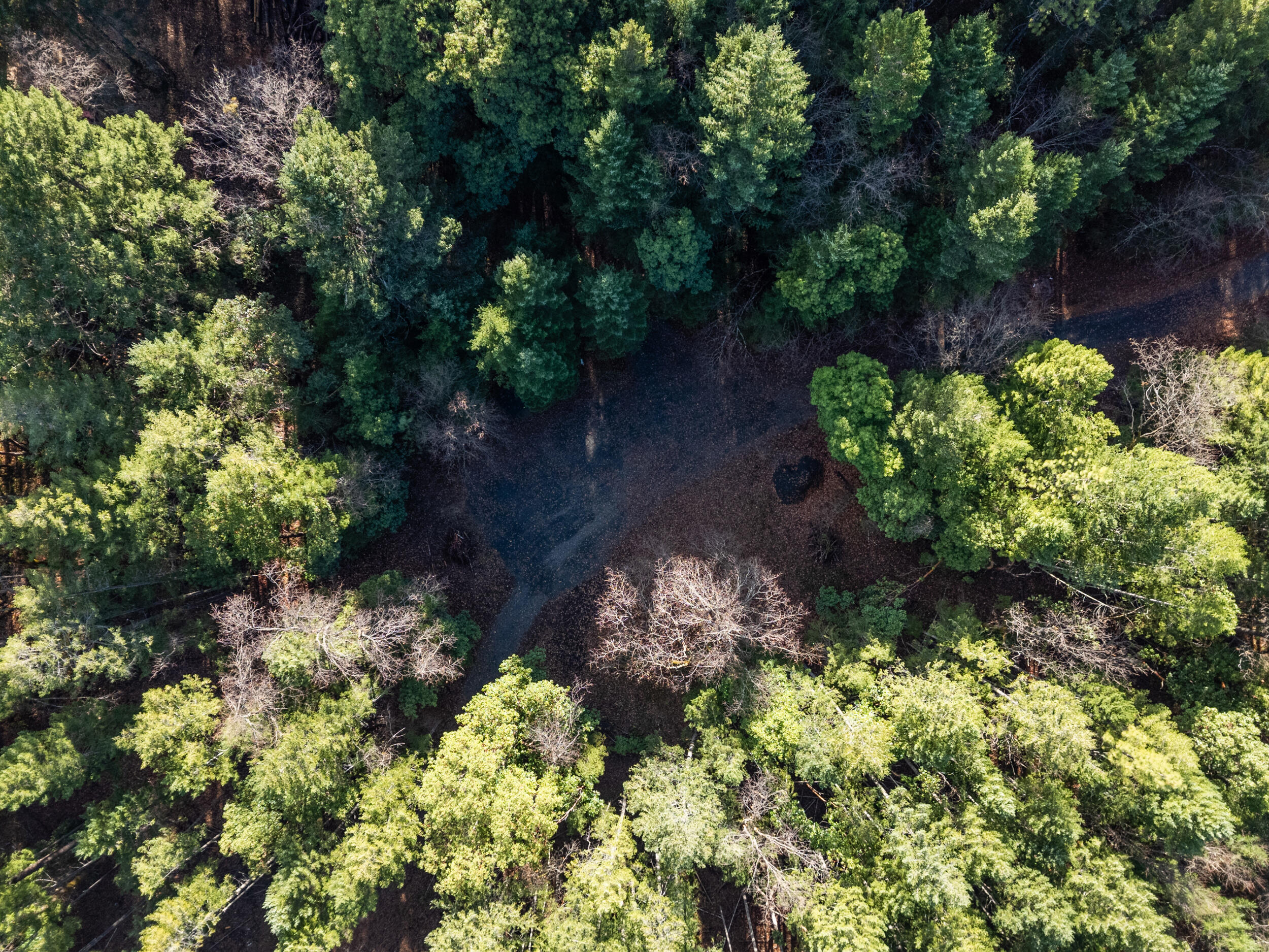 Illinois River Estates - Land