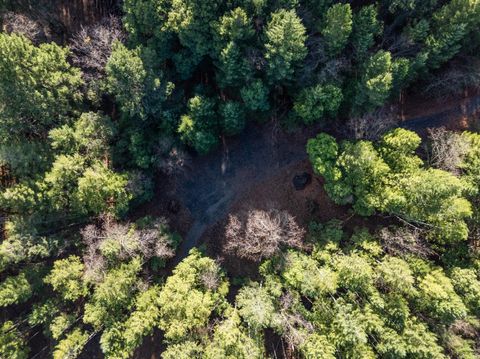 Tiny photo for 7001 Rockydale Road, Cave Junction, OR 97523 (MLS # 220212384)