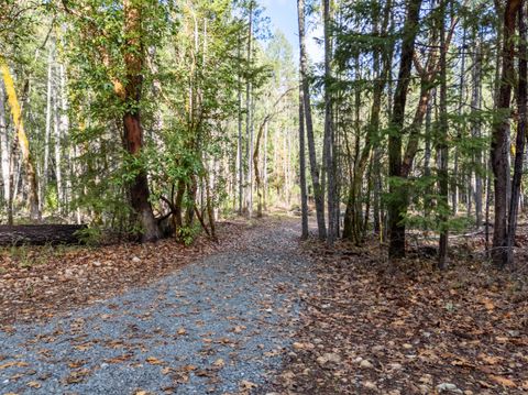 Tiny photo for 7001 Rockydale Road, Cave Junction, OR 97523 (MLS # 220212384)