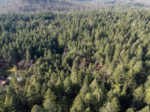 Tiny photo for 7001 Rockydale Road, Cave Junction, OR 97523 (MLS # 220212384)