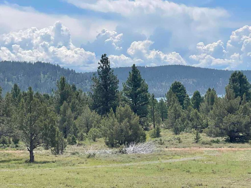 214 +- Acres of mature mixed pine, juniper, and cedar trees. Abundant large timber but no cruise on file. Several springs adorn these parcels.
Several large meadows and secluded valley areas to roam.  Numerous deer, elk, and antelope roam the area. Established hunting camp, huge newly built house/building pad. The house pad offers beautiful lake views. Established water well.  A current survey of the parcels is available, all corners are clearly marked. Both parcels are bordered by public lands and have NF-3723 (Cottonwood Road) running between the parcels. Cottonwood Reservoir is a short walk down the road for fishing or boating. Numerous areas of clear views of Cottonwood Reservoir from the property.
Lakeview boasts excellent family dining, grocery stores, a hospital, a hardware store, and a private airport. Nice town with great amenities.