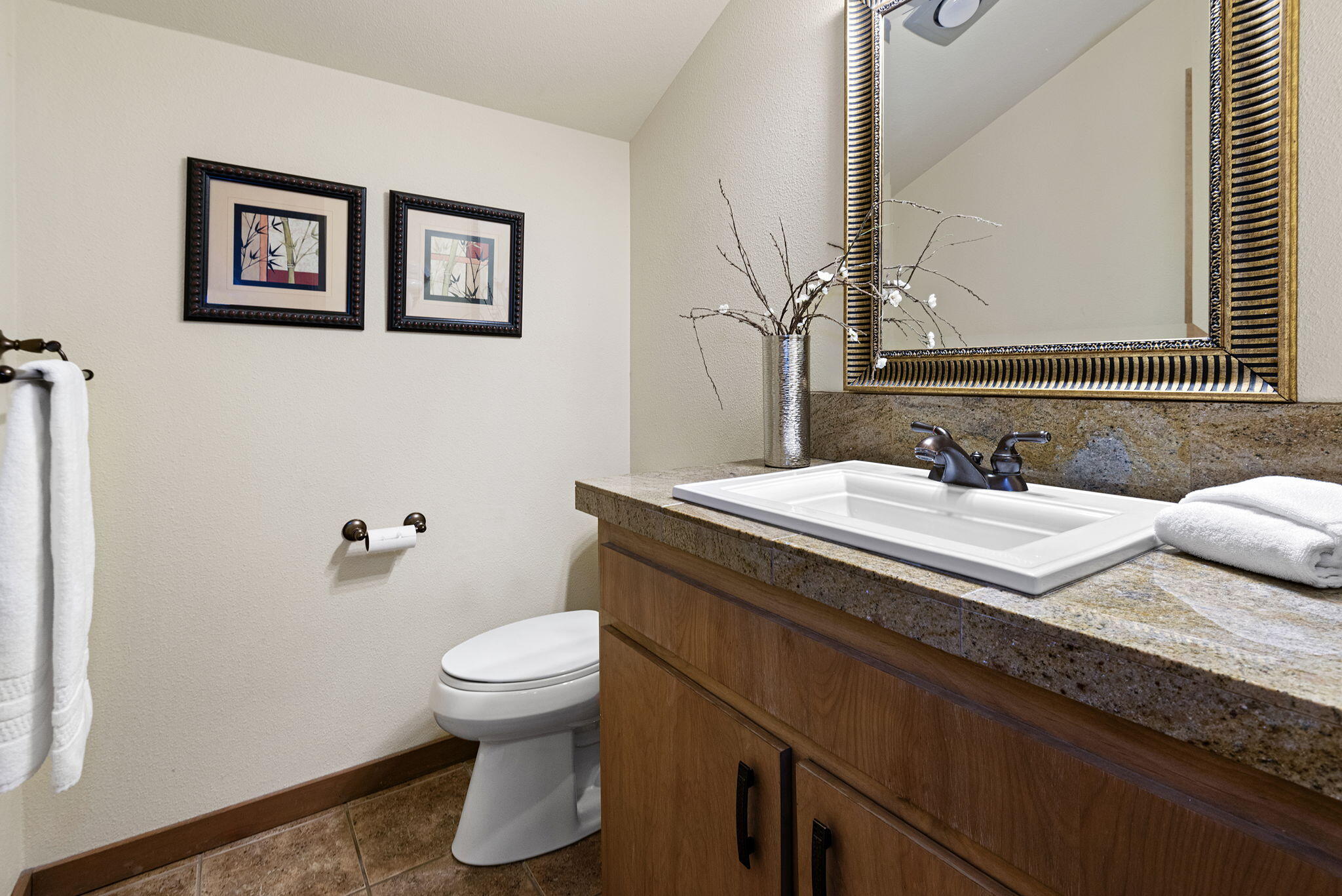 Mt Bachelor Village - Residential