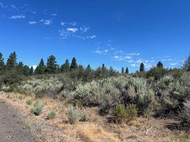 Oregon Shores - Land