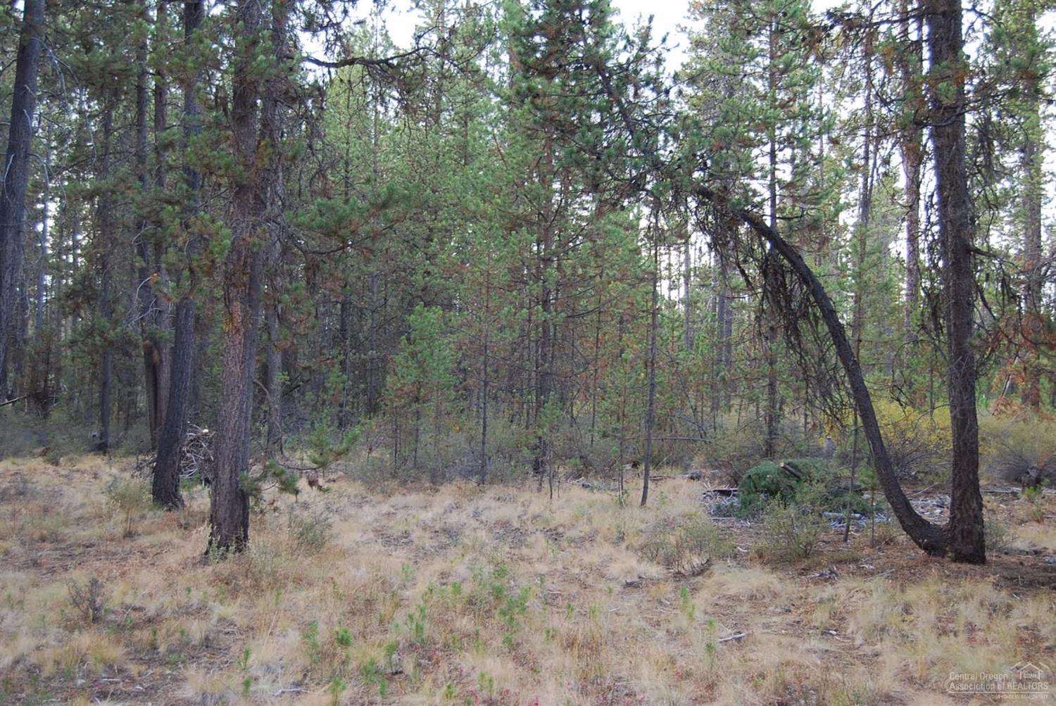 Lazy River West - Land