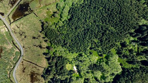 Tiny photo for 94010 N Way Lane, North Bend, OR 97459 (MLS # 220215462)