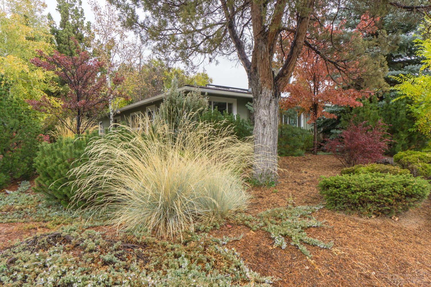 Sunnyside - Residential