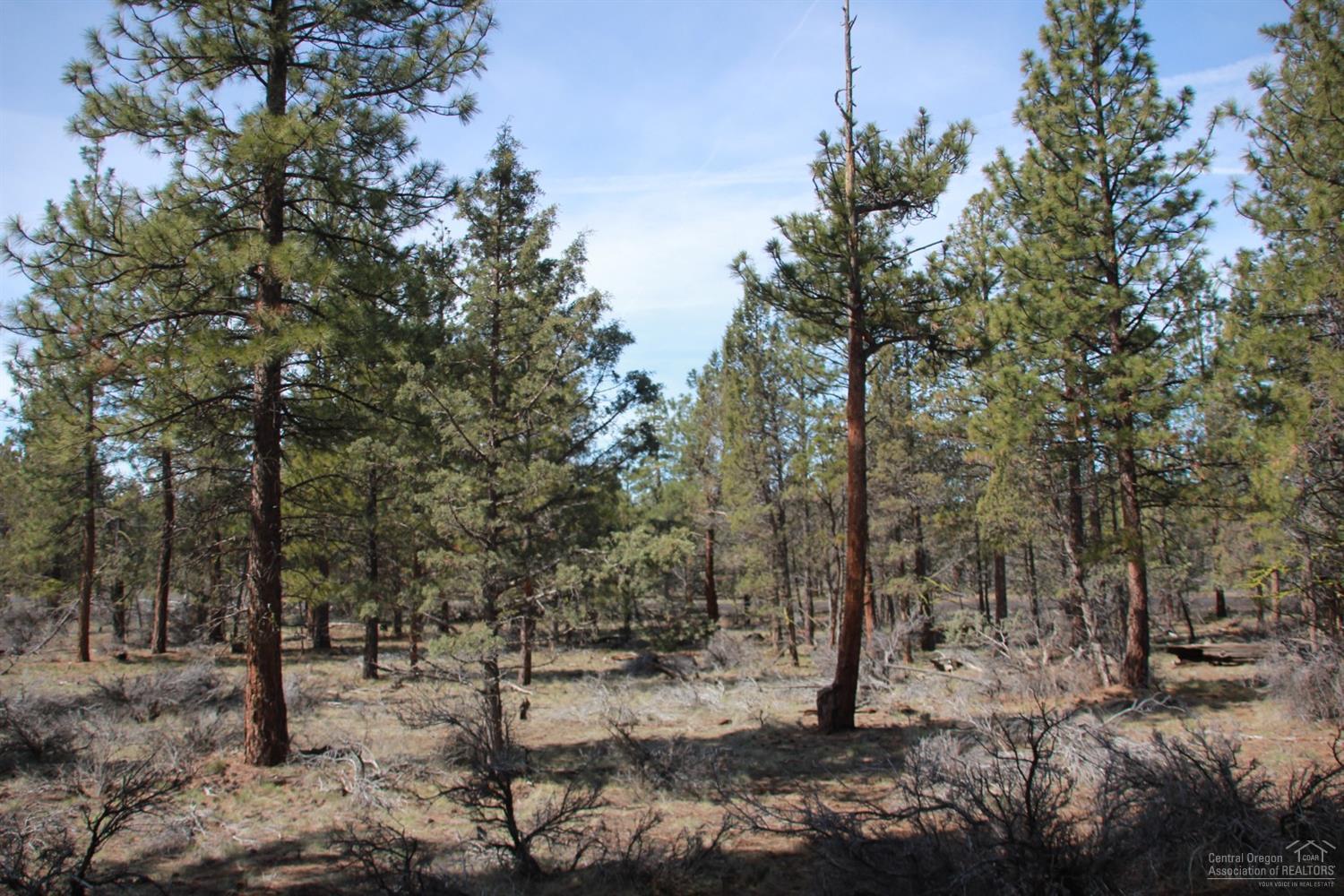 Squaw Creek Canyon - Land