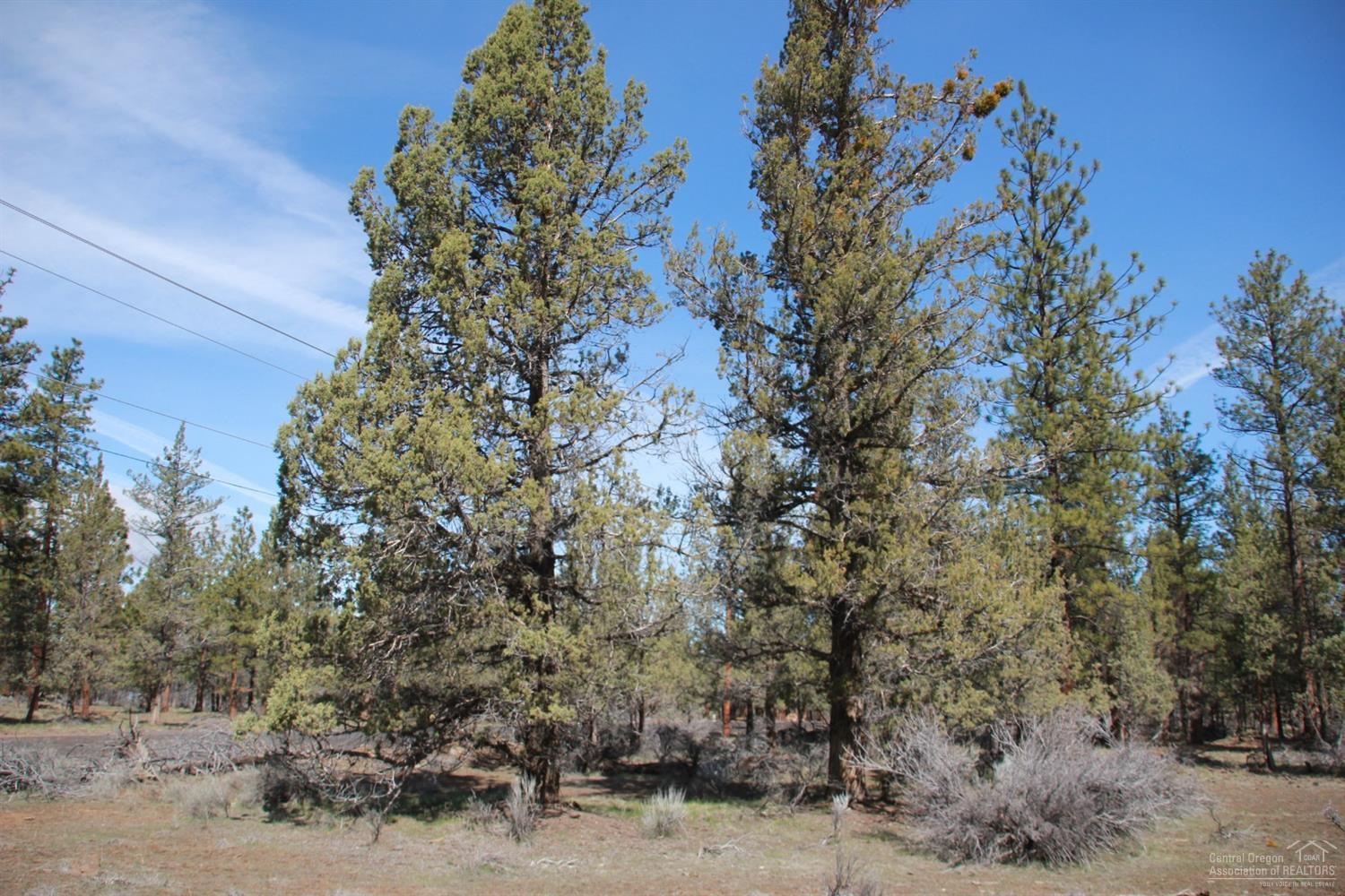 Squaw Creek Canyon - Land